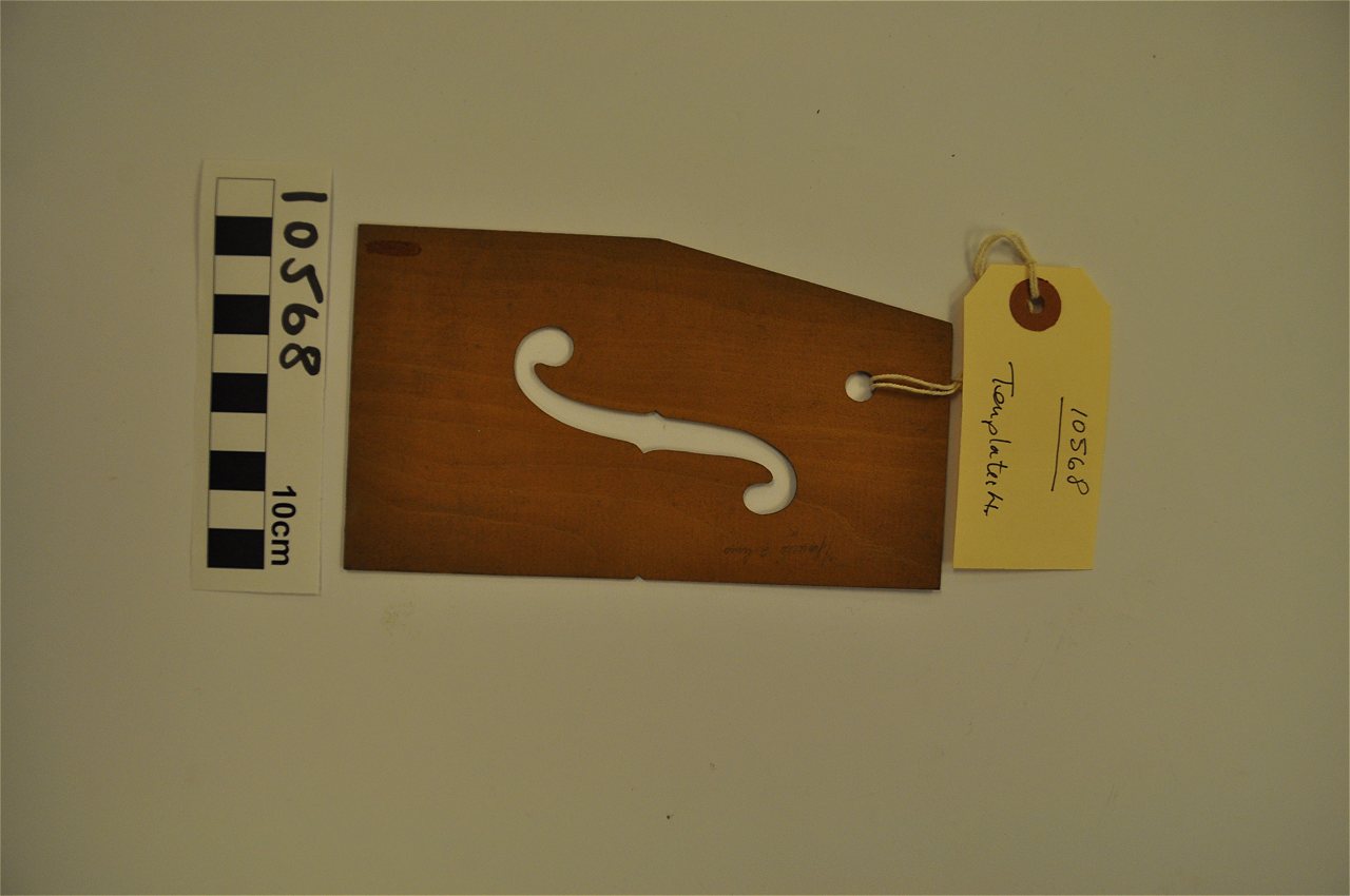 Violin