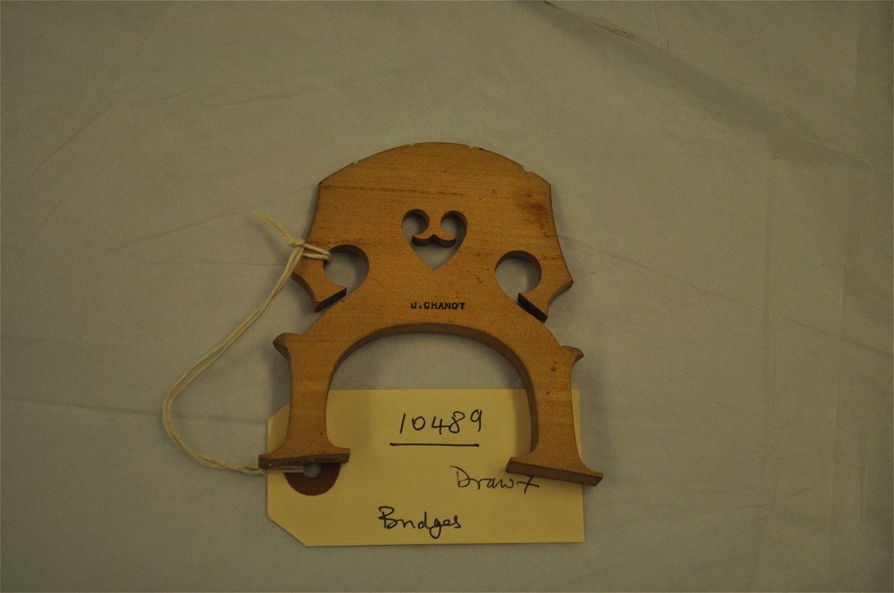 Violin