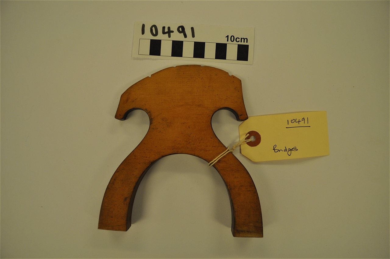 violin