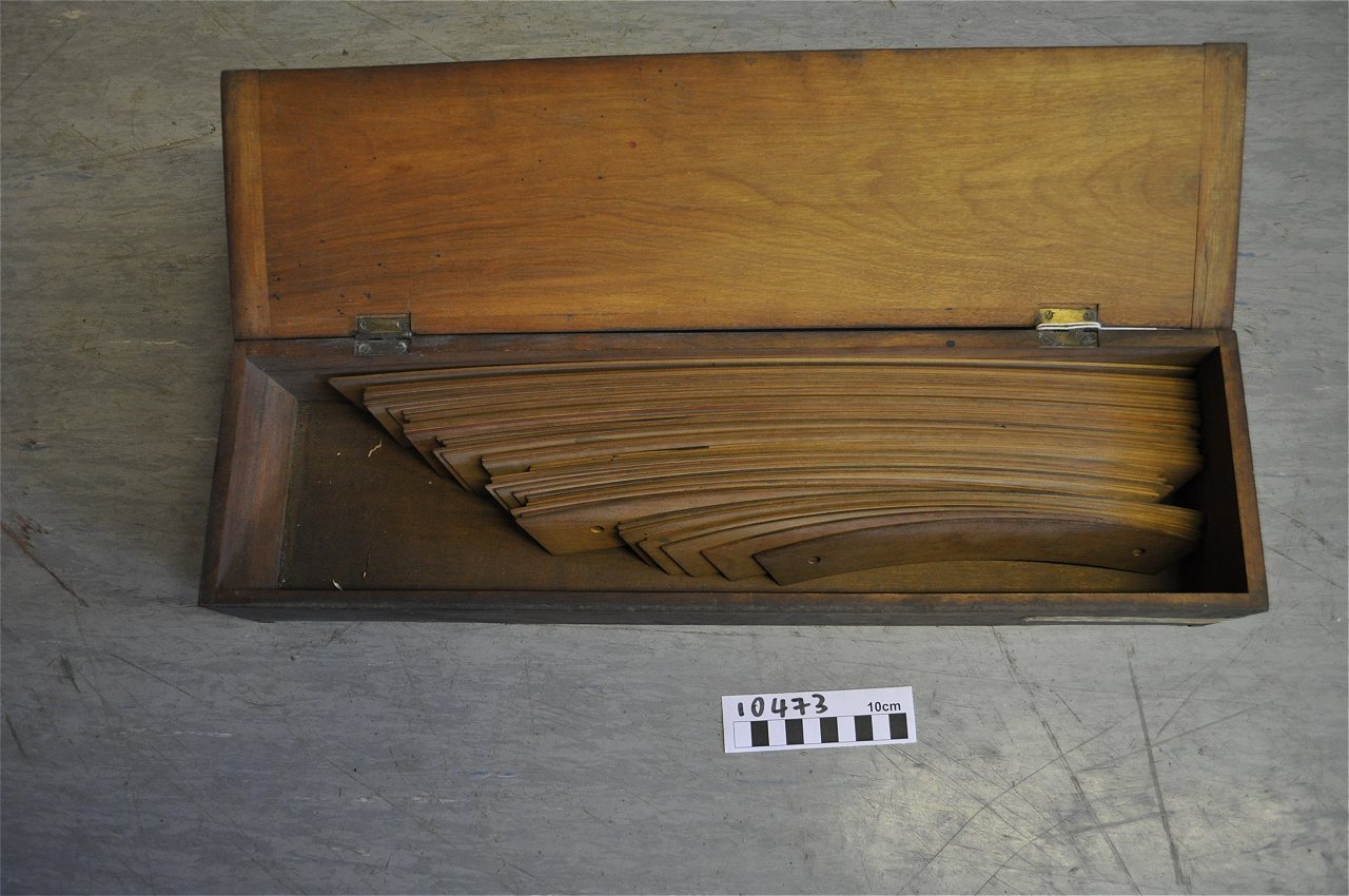 violin