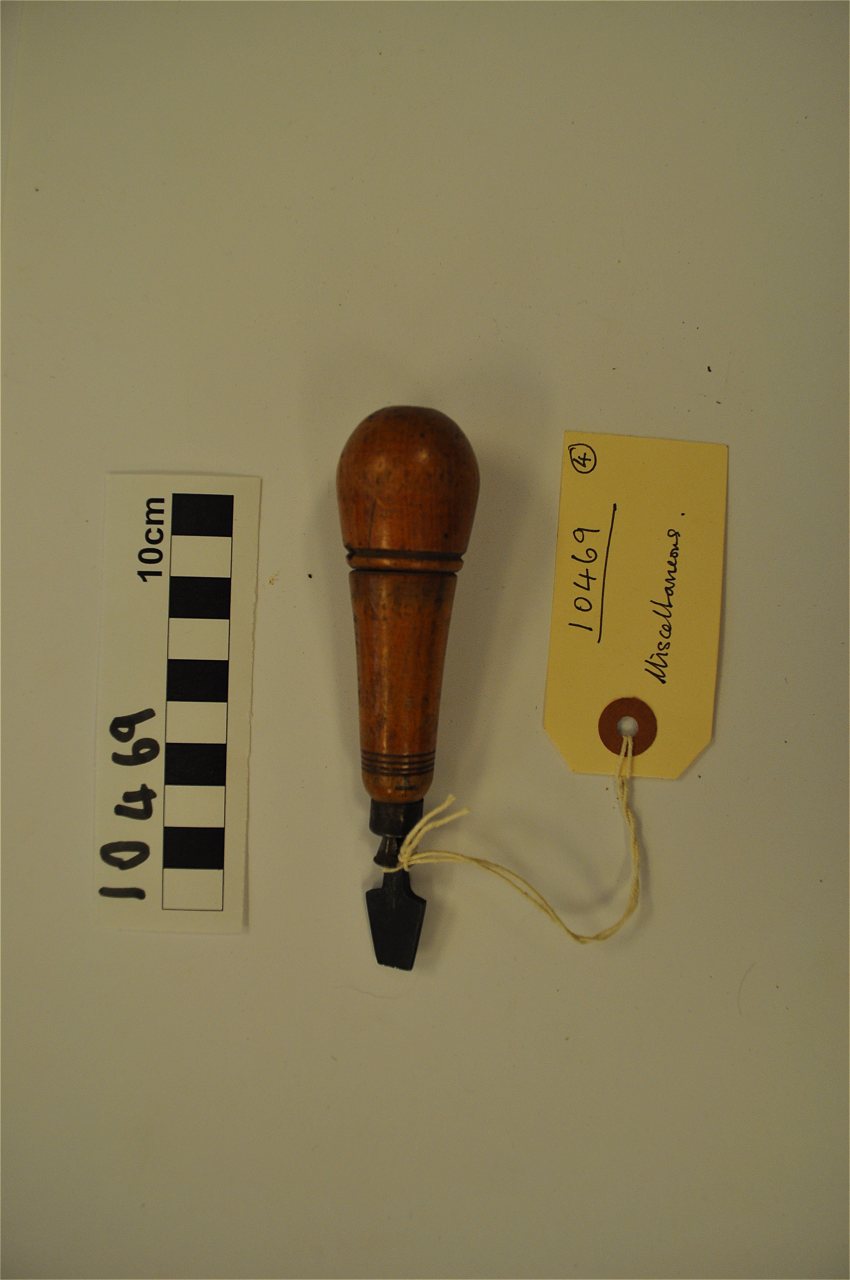 violin