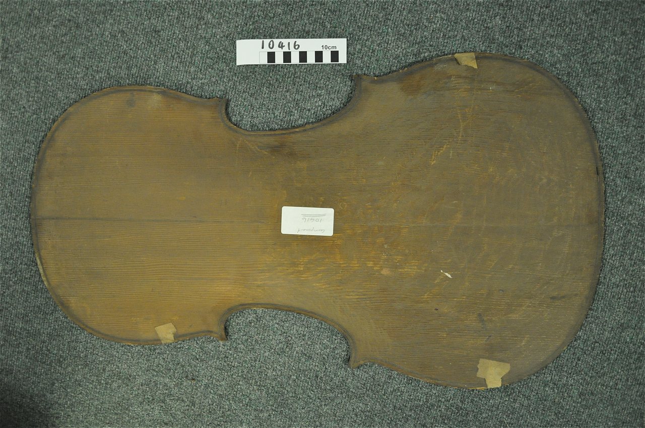 violin