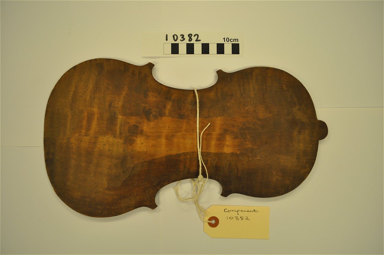 violin