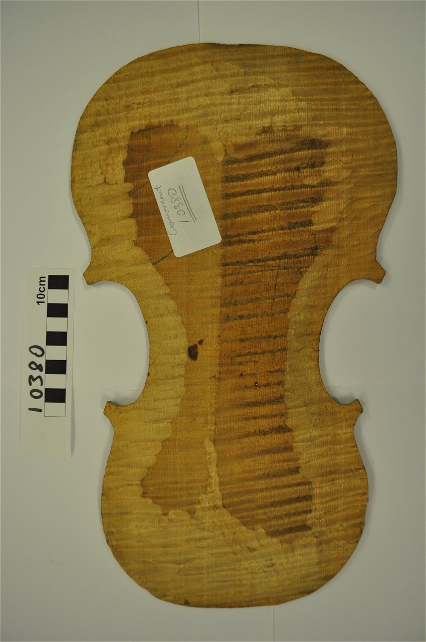 violin