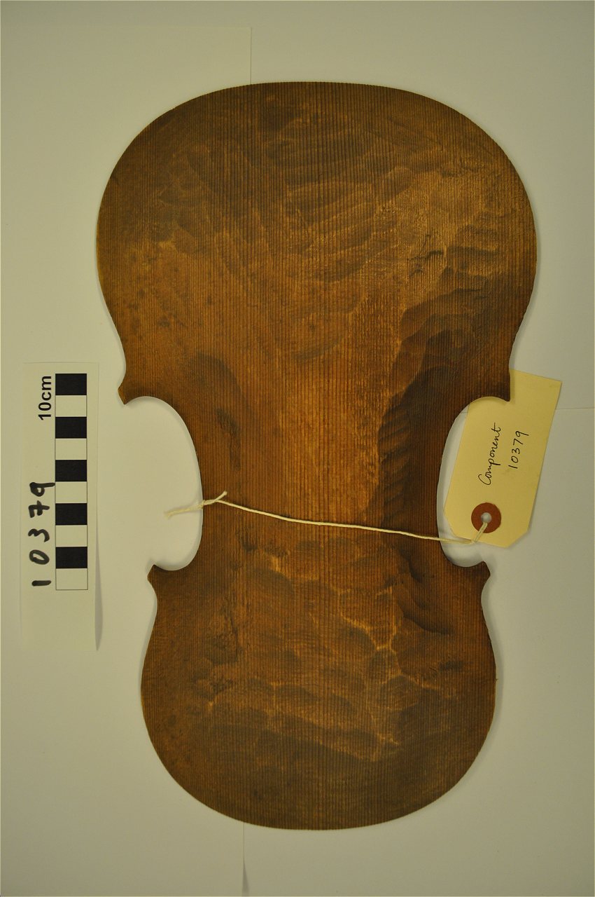 violin
