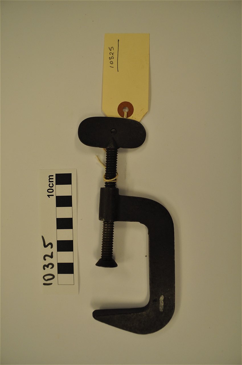 violin