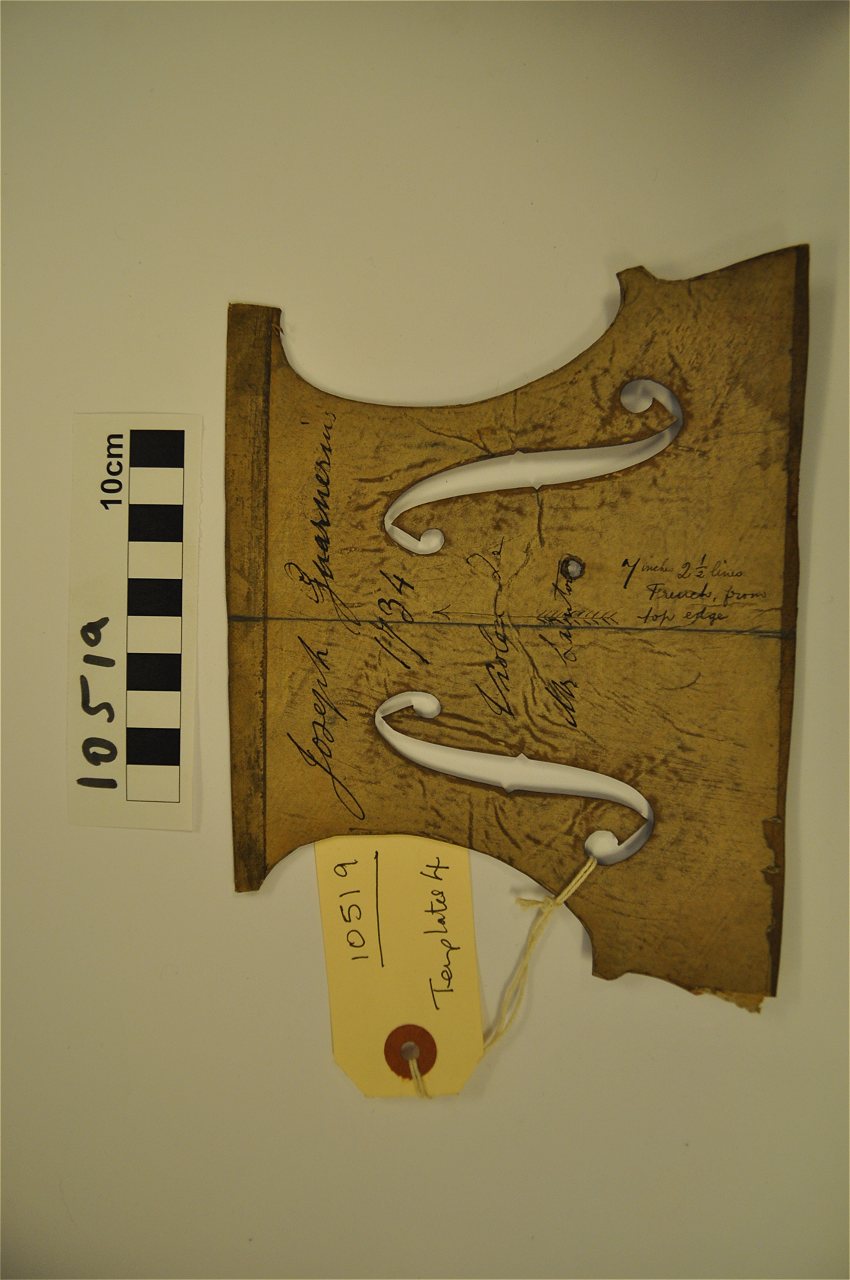 violin