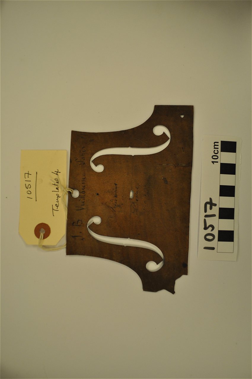 violin