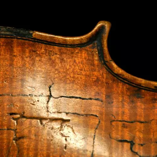corner violin