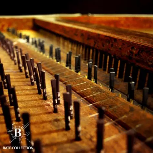 Tuning pins of the Joseph Tisseran harpsichord (c.1700)