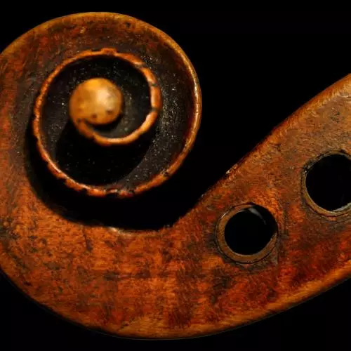 violin scroll