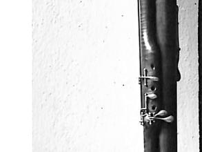 scan041  19 fl