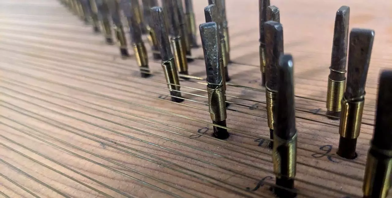 hass strings large