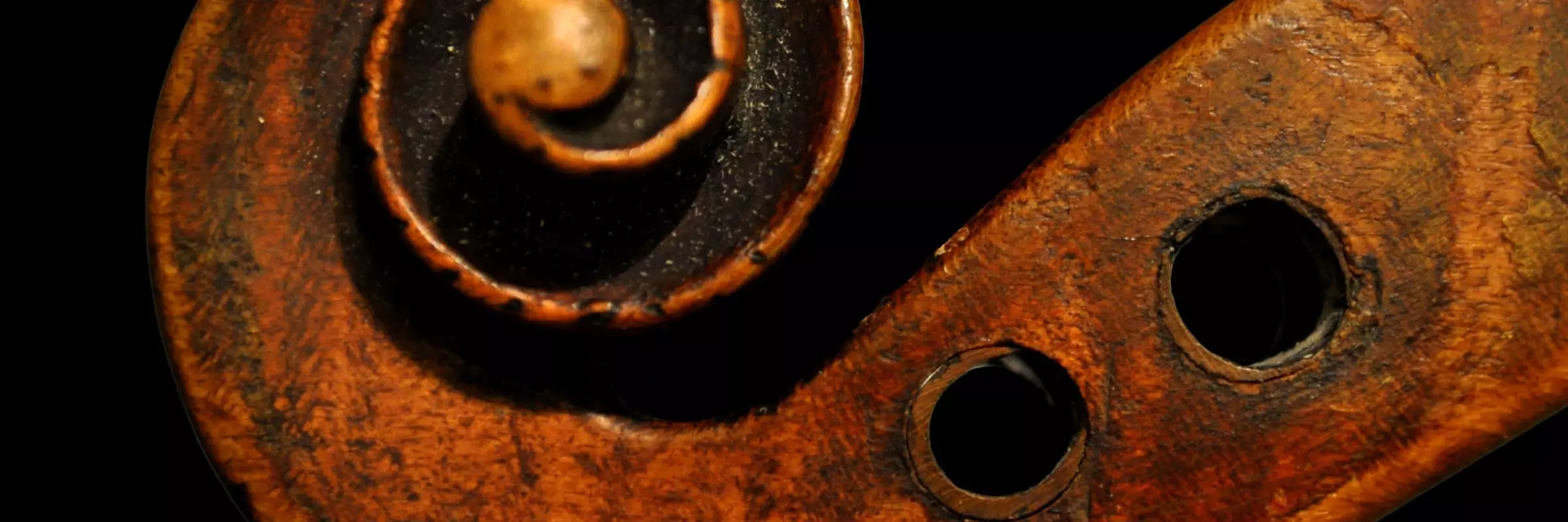 violin scroll